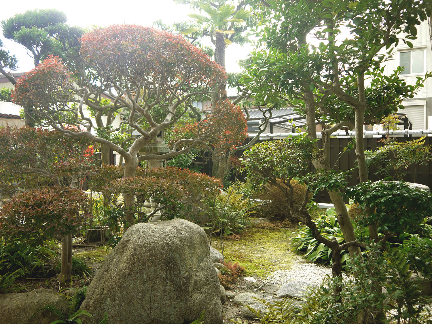 植木の剪定施工事例